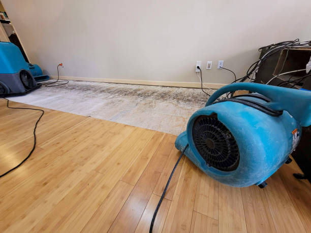 Professional Water Damage Repair technician working in Cochranton, PA